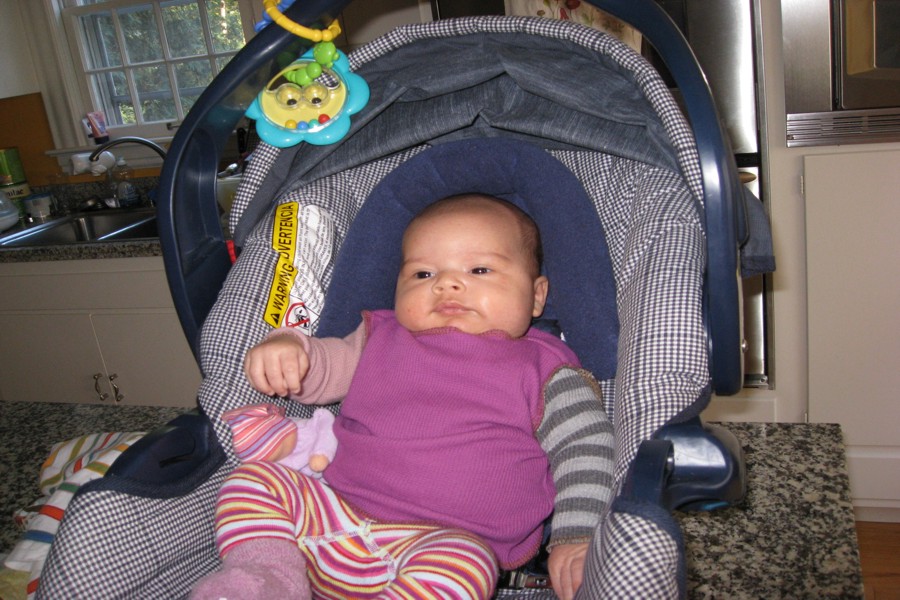 ../image/september paloma.jpg